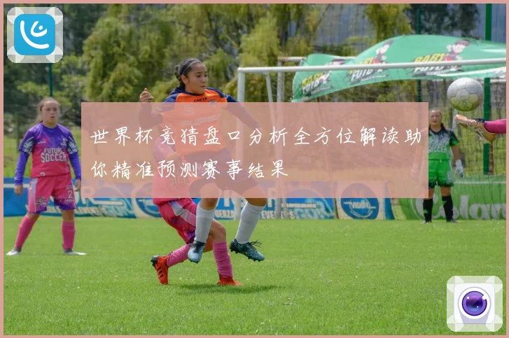 世界杯竞猜盘口分析全方位解读助你精准预测赛事结果